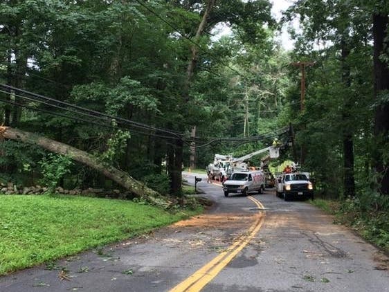 Sudbury road was temporarily closed while crews cleared the tree.