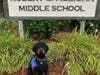 Betty has been helping students and staff in the school for four years.