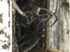 Fire investigators and electrical inspectors believe this open splice -- a result of relocating the electrical outlet and which is against electrical code -- posed a serious fire danger.