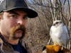Westborough firefighter Mark Boyner trudged through a swamp to rescue the 15-year-old falcon.