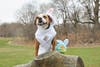 An Easter egg hunt for dogs will be held in Prospect Park.