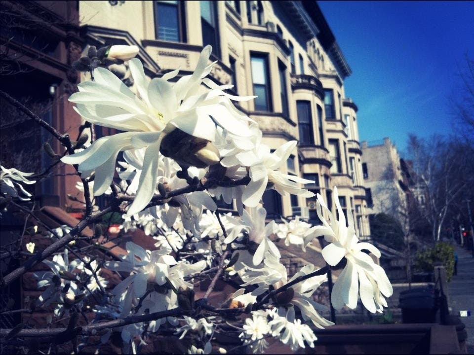 Park Slope file photo.