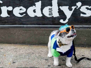 News small post card thumbnail