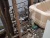 Flatbush tenants living out of garbage bags at friends' houses since February say their landlord has done almost nothing to fix the building