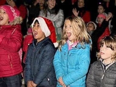 A "Shop Local" street party in Park Slope on Saturday will include the Big Apple's first holiday tree lighting of the season.