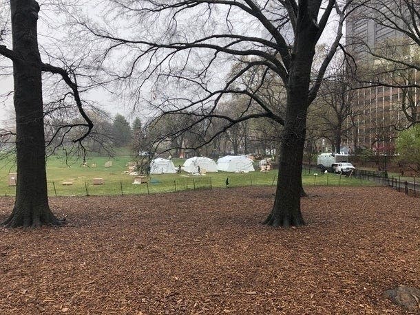 At least one volunteer was rejected from serving at the Central Park coronavirus hospital after he refused to sign a "Statement of Faith."