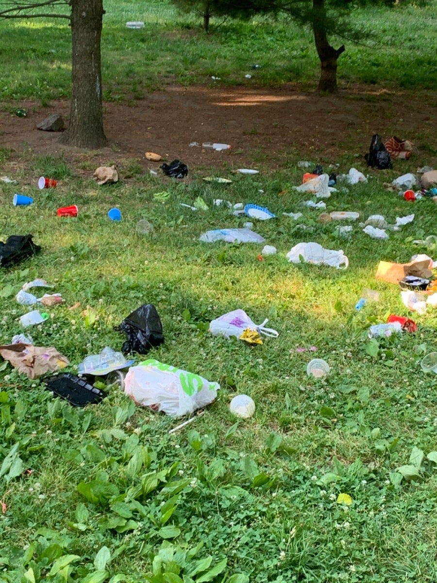 Contributed by Reader