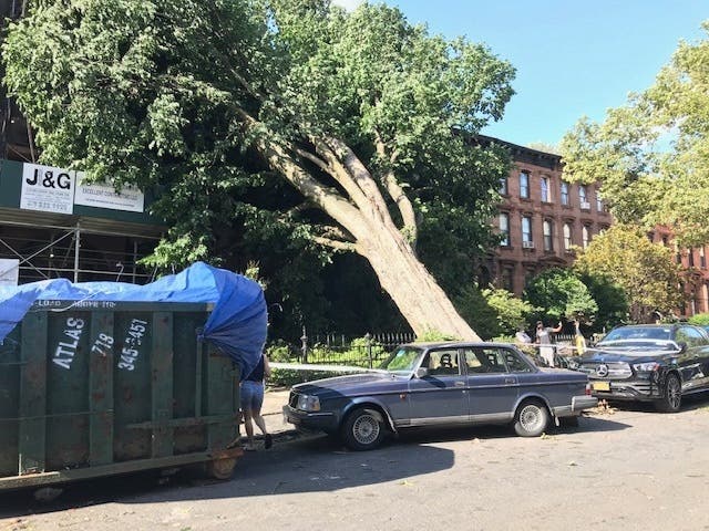A fallen tree rests on a building in Bed-Stuy after Tropical Storm Isaias ripped through the borough.