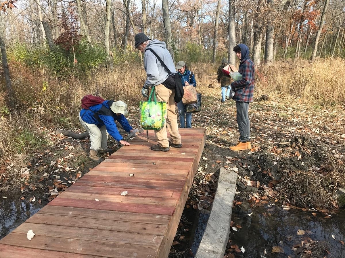 Volunteers of all experience levels worked in improving the Cook County Forest Preserve area, Watersmeet Woods