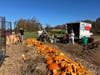 All the pumpkins being composted at Orkestai farms thanks to the help of the Growers group!