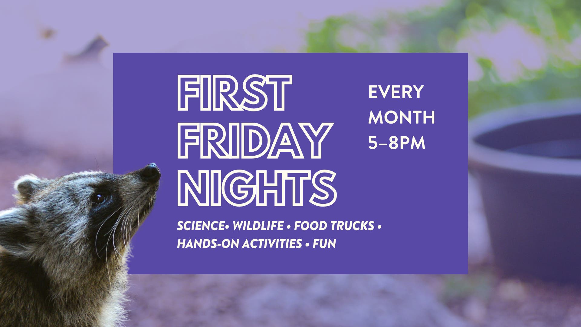 First Friday Nights at CuriOdyssey