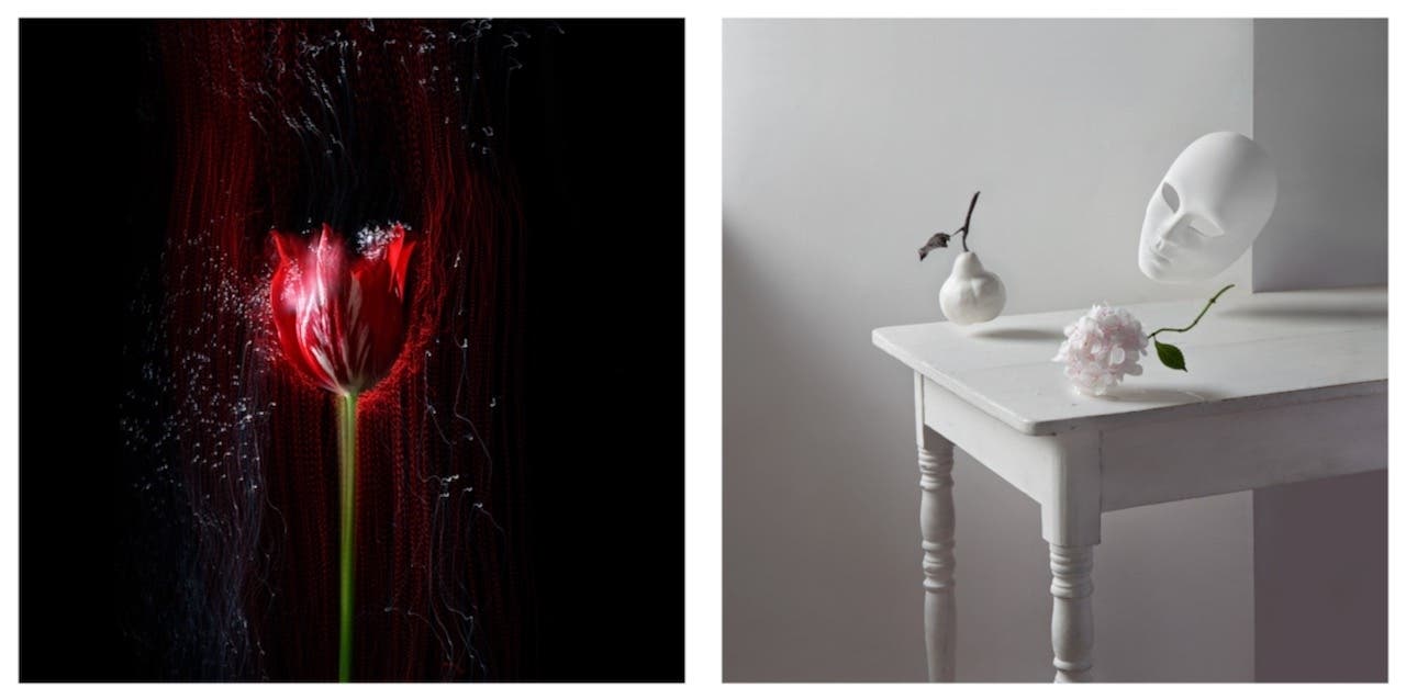 Photographic study, "Unconventional Still Life", hosted by Gateway Camera Club