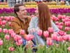 Stephen Lewis and Meg McDonald of Frankfort were among the thousands of visitors who viewed the tulip fields at Richardson Farm during the 2023 Tulip Festival. This year's fest likely will open in late April, farm operators said. 