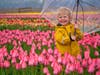Annika Barger of Glen Ellyn walks among the flowers during the 2025 Richardson Farm Tulip Festival. This year's fest is expected to open in late April. 