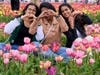 Friends share their love for the beautiful blooms on display during the 2024 Richardson Farm Tulip Festival. This year's event opens Wednesday, April 22. Visit richardsonfarm.com for tickets, details.