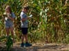 Two children consult their maps while tackling the 2025 Richardson "World's Largest" Corn Maze. This year's maze features 9.7 miles of trail across 28 acres, with an America250 design.