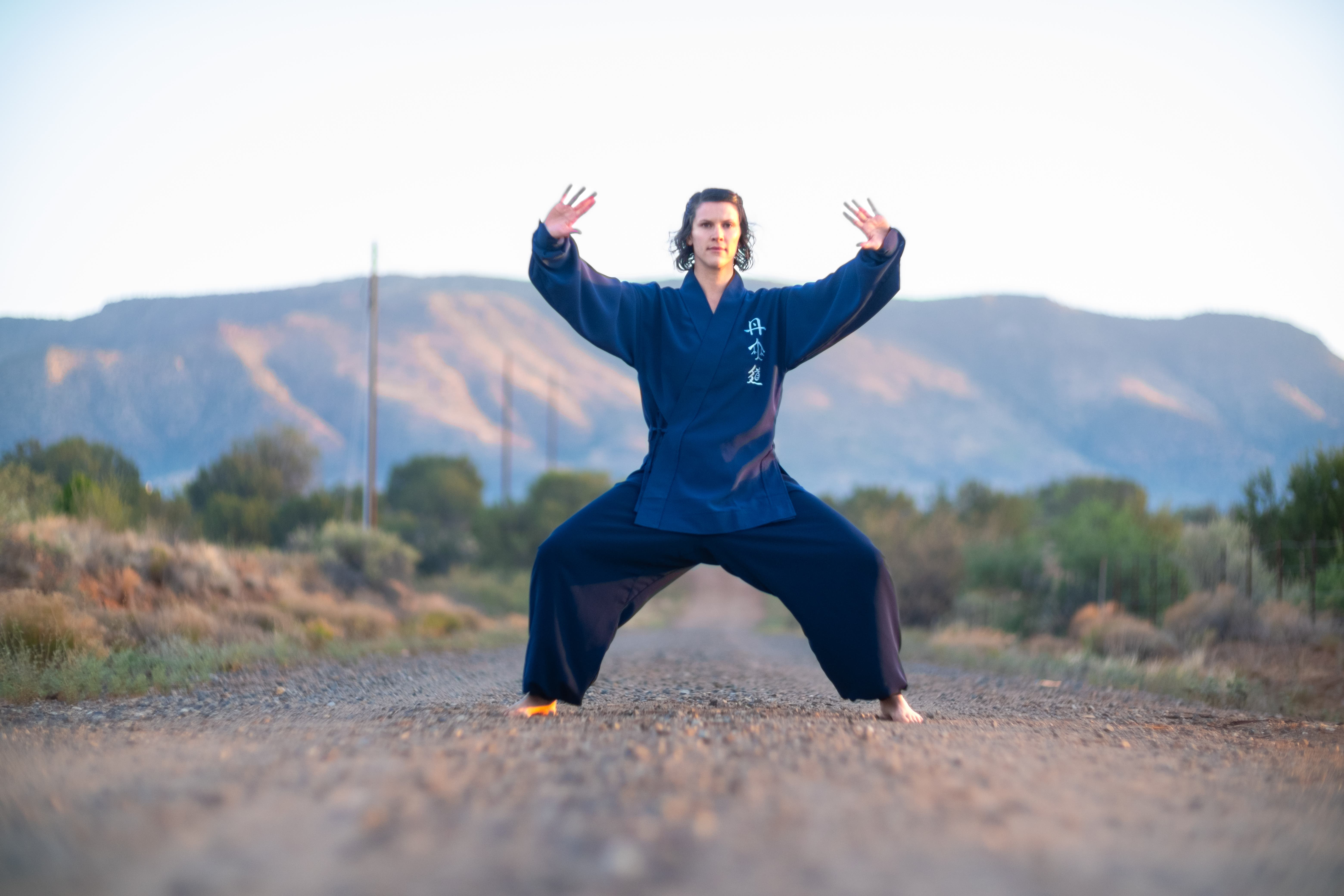 Tai Chi Basics 4-Hour Workshop