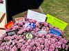 "Medfield Mum" includes gift cards to Be Charmed, Blue Moon, Brothers, Dunkin, Marshalls, Park Street Books, Starbucks, The Gathered Room, and Wellness & You.