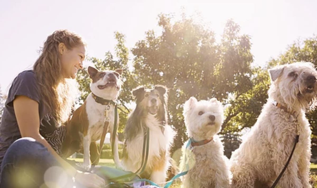 What the Pup opens Friday, March 1 in Forked River.