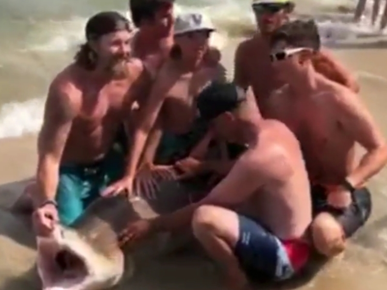 The shark took over an hour to catch before they released it, according to 6 ABC.