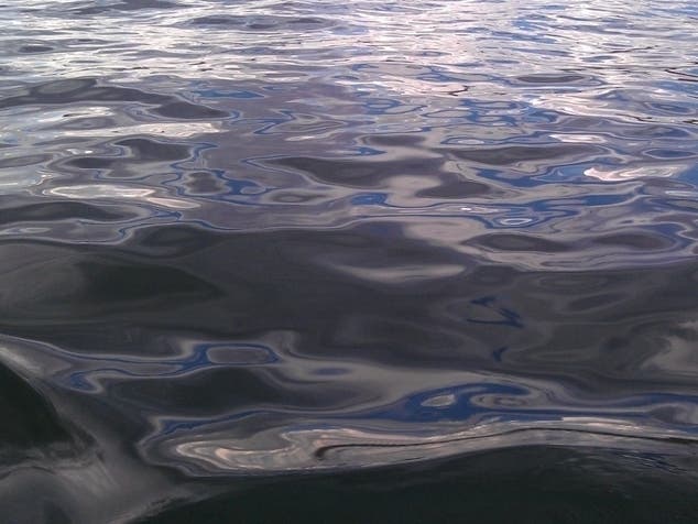 Iesha Thies, 39, died after she was thrown from the boat and struck by its propeller, police said.