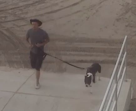 A man in Wildwood fled after his dog bit a child, police said.