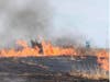 Officials extinguished a brush fire Monday afternoon from an open field in Manahawkin.