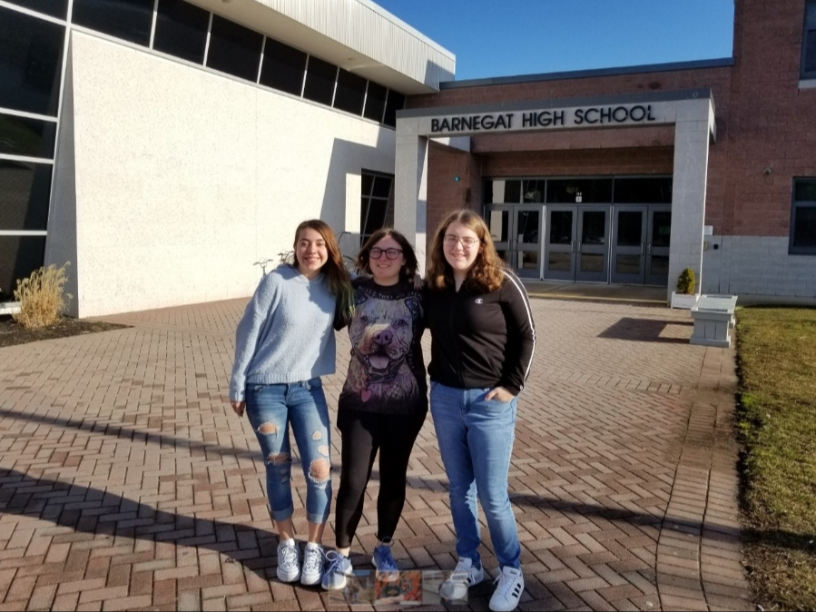 Barnegat High School freshmen Skylar Dasti, Nora Hansen and Jenna Marcy created an Adopt-A-Street Program in Barnegat.
