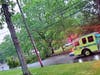 A tree fell down in Bayville on Wednesday amid the storm.