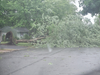 A tree fell down in Bayville on Chain Boulevard toward Route 9.