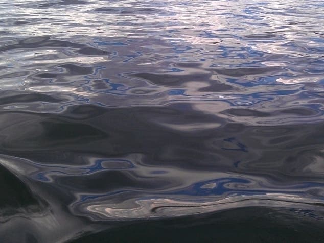 Manahawkin Lake at A. Paul King County Park will reopen for swimming Friday.