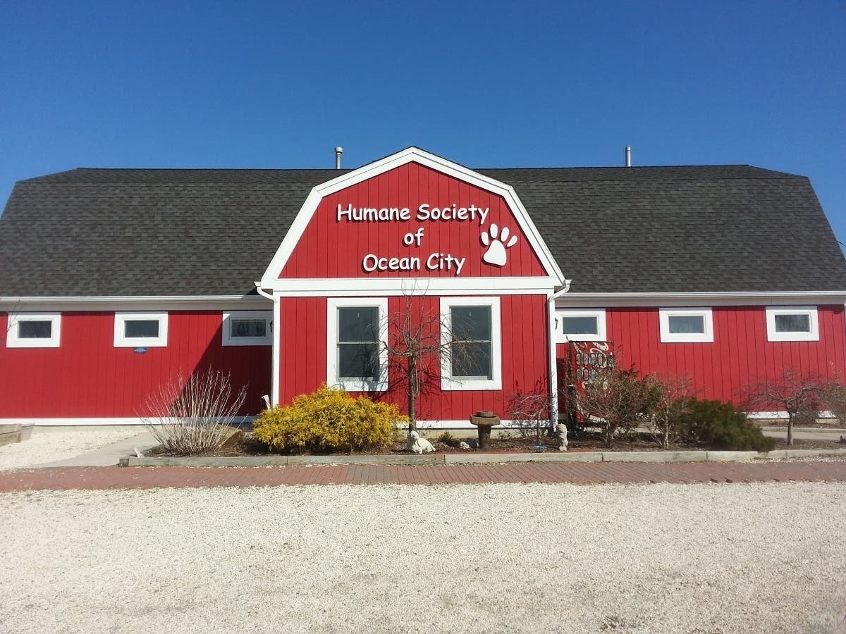 "Furever Home Family" on Animal Planet will feature the Humane Society of Ocean City.