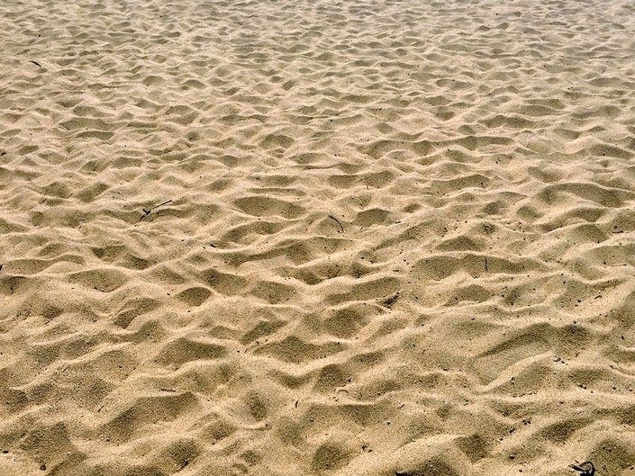 Several Surf City Harvey Cedars lifeguards tested positive for the coronavirus, according to officials.