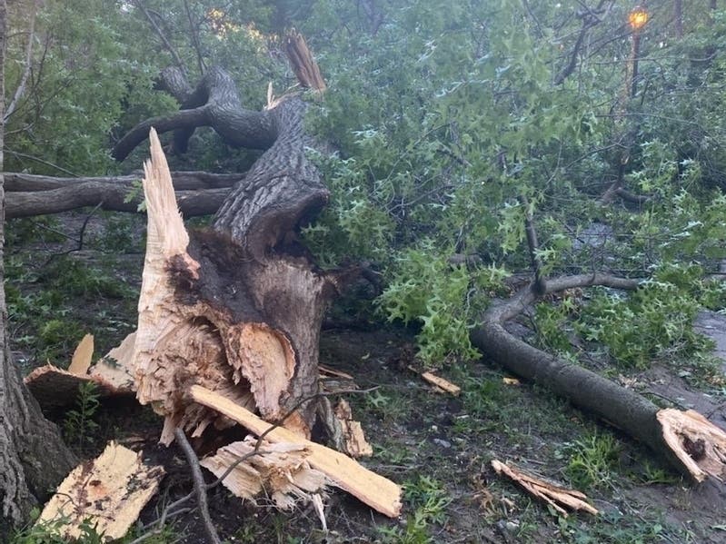 More than 1 million in New Jersey lost power Tuesday after Tropical Storm Isaias tore through. Areas such as Barnegat and Long Beach Island continued waiting Wednesday for power to return.
