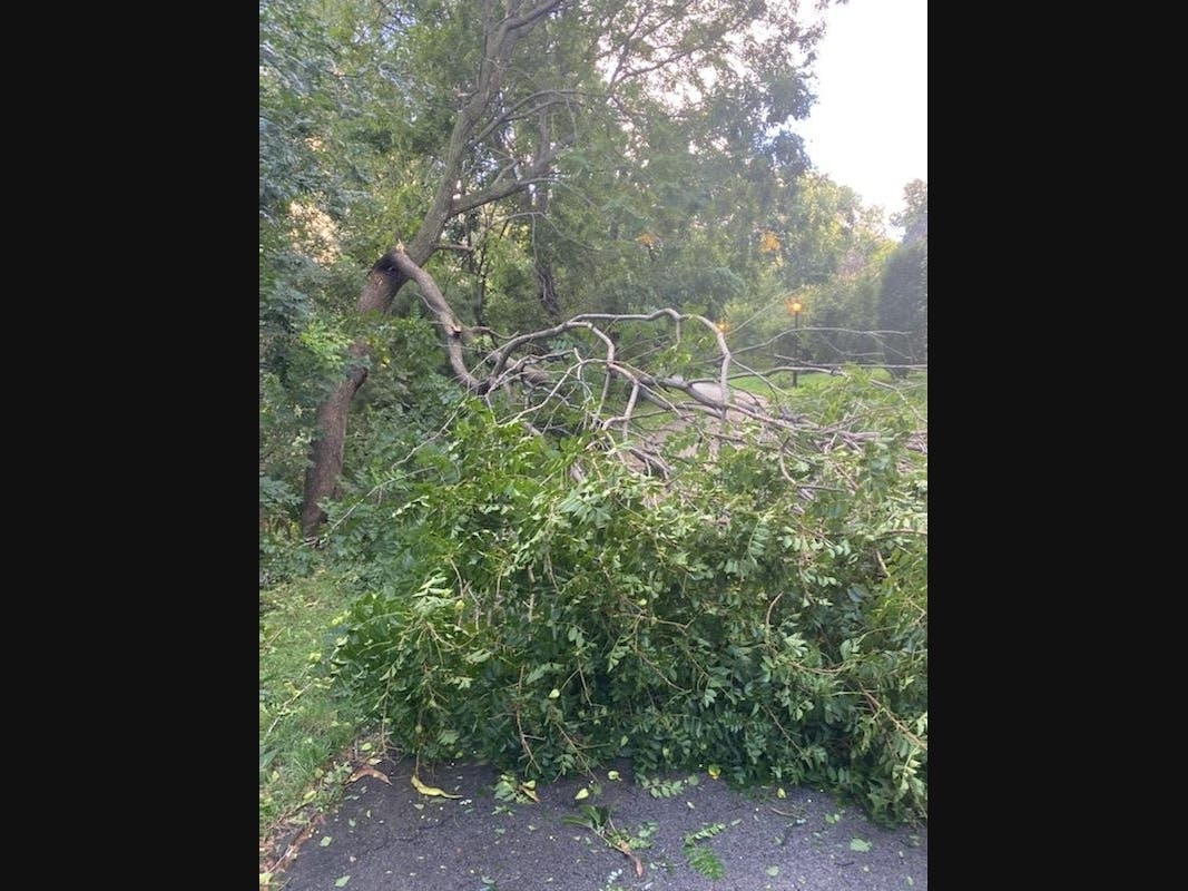 Berkeley Township will begin collecting brush generated from Tropical Storm Isaias.