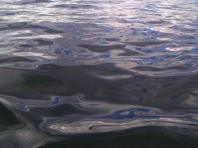 A Pennsylvania woman drowned Tuesday after trying to save her three children off North Wildwood.