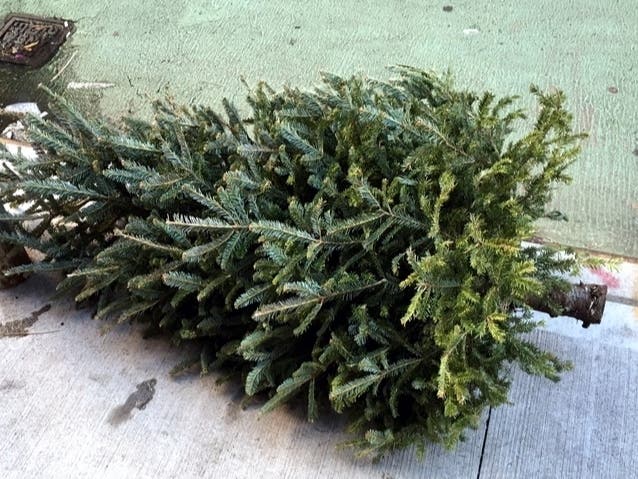 Basking Ridge residents ready to recycle their Christmas trees can aid the Ridge girls basketball team and the Somerset County Park Commission.