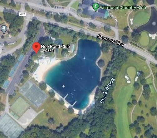 Chatham-area residents launched "Save Noe Pond" in an effort to prevent high-density developments from getting built on the recently sold property.