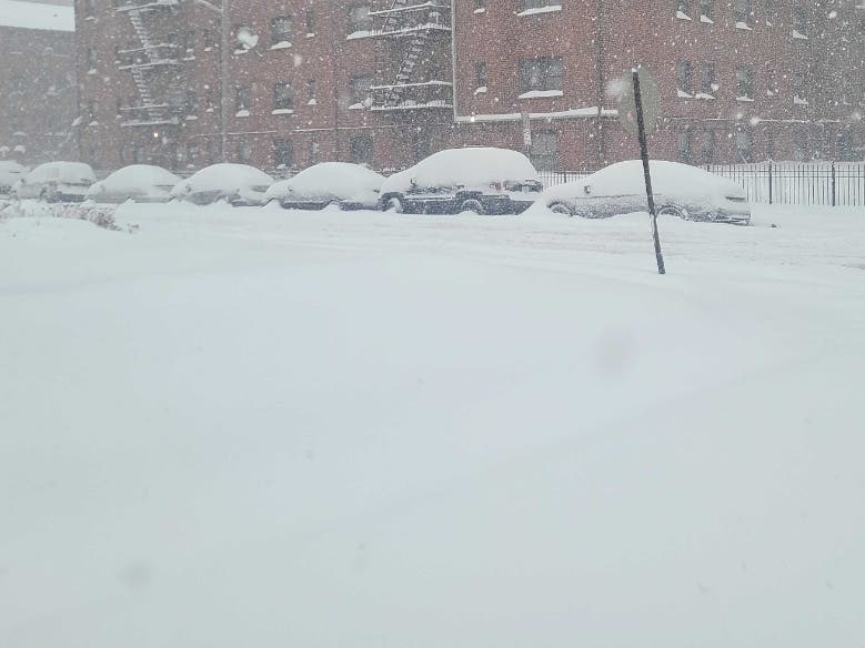 As the nor'easter continues to blow through New Jersey, the School District of the Chathams opted to continue Tuesday with virtual schooling.
