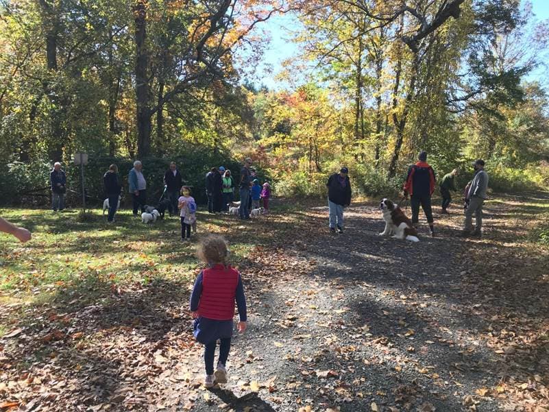 Lord Stirling Park added dogg walks to Mondays and Wednedsays.
