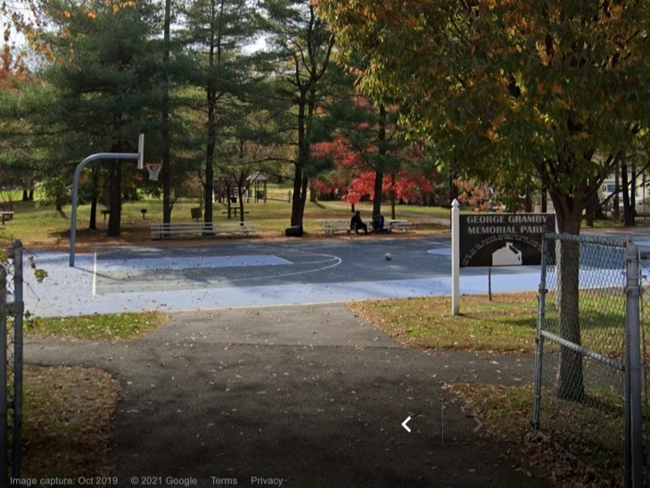 Morristown seeks volunteers to help remove invasive plants from George Gramby Memorial Park on Aug. 15.