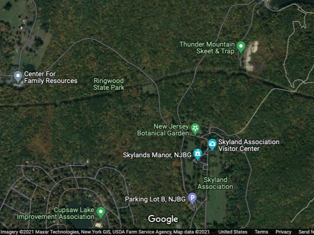 A plane made an emergency landing Thursday at Ringwood State Park.