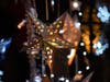 Theatre of Lights, a free Mayo Performing Arts Center event, will take place Dec. 12 at the Vail Mansion Plaza in Morristown.