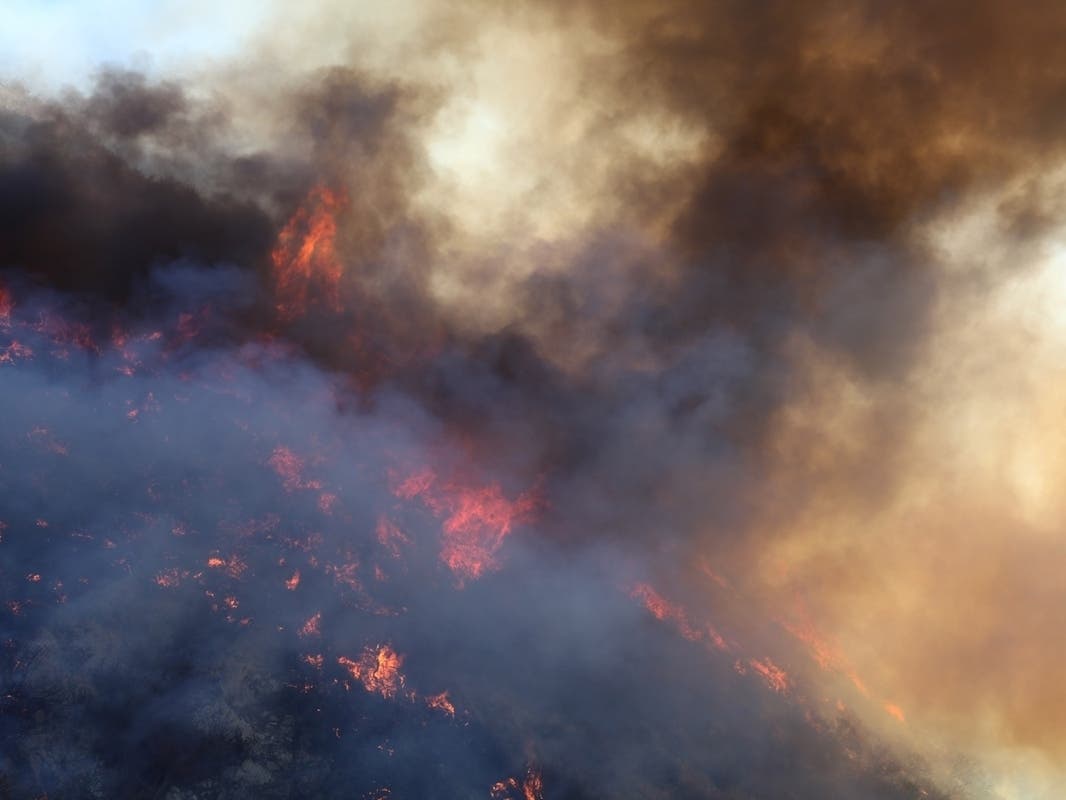 Wildfires have popped up throughout New Jersey in recent weeks as the state endures a drought.