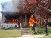 Two dogs died in a fire that scorched two Delaware County homes on Thursday, officials told Patch.