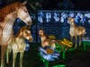 Philadelphia's Chinese Lantern Festival returns to Franklin Square, bringing a new set of illuminated displays, live performances and food to the Center City park.
