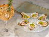 Pomelo Rooftop Terrace, located atop The Brandywine hotel in Radnor, will celebrate its grand opening next month.