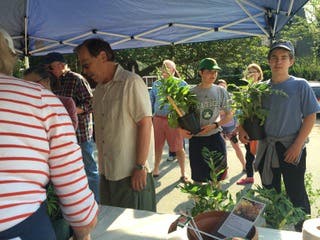 67th Annual Point Plant Sale