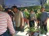 67th Annual Point Plant Sale