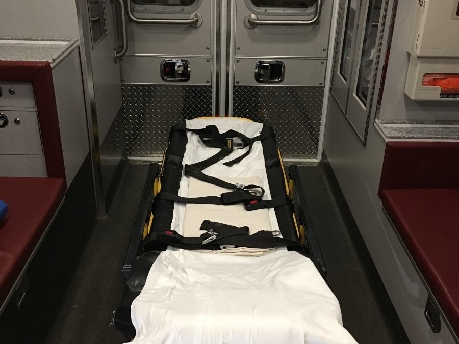 A proposed law would allow police K9s to receive treatment from EMTs and to ride in ambulances in case of emergency. 